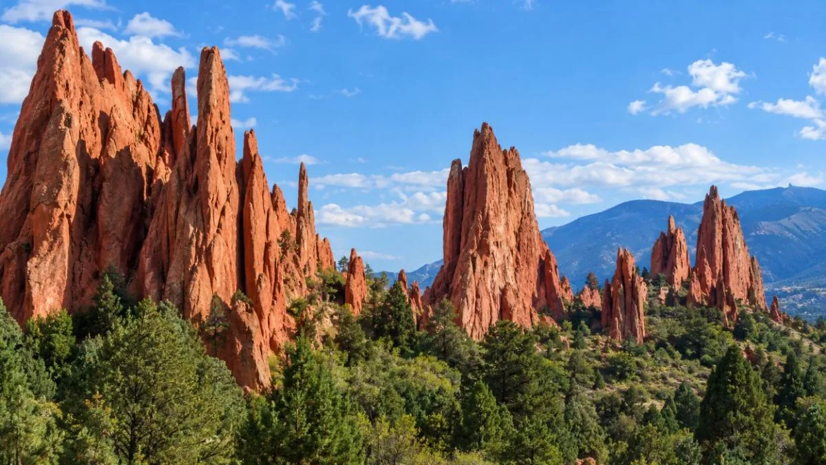 The narrow Cathedral Spires rising above juniper trees