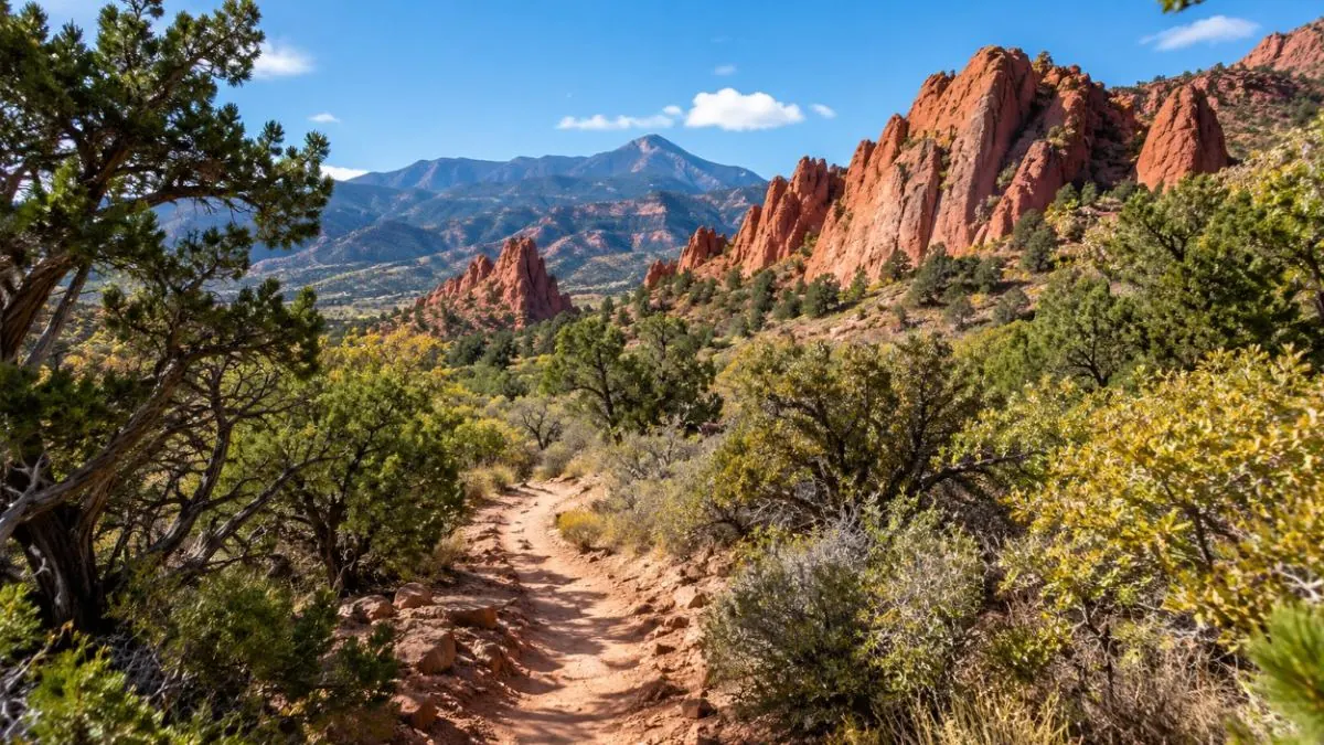 A dirt trail through juniper and scrub oak below the red rocks